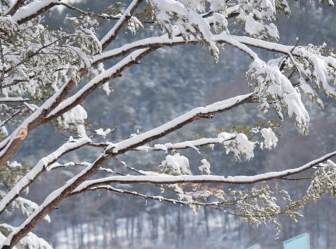 Cindy Oullet CAN, Natalie Wilkie CAN and Ethan Hess CAN arrive at the Paralympic Village. The Paralympic Winter Games, PyeongChang, South Korea, Tuesday 6th March 2018. Photo: Joel Marklund for OIS/IOC. Handout image supplied by OIS/IOC