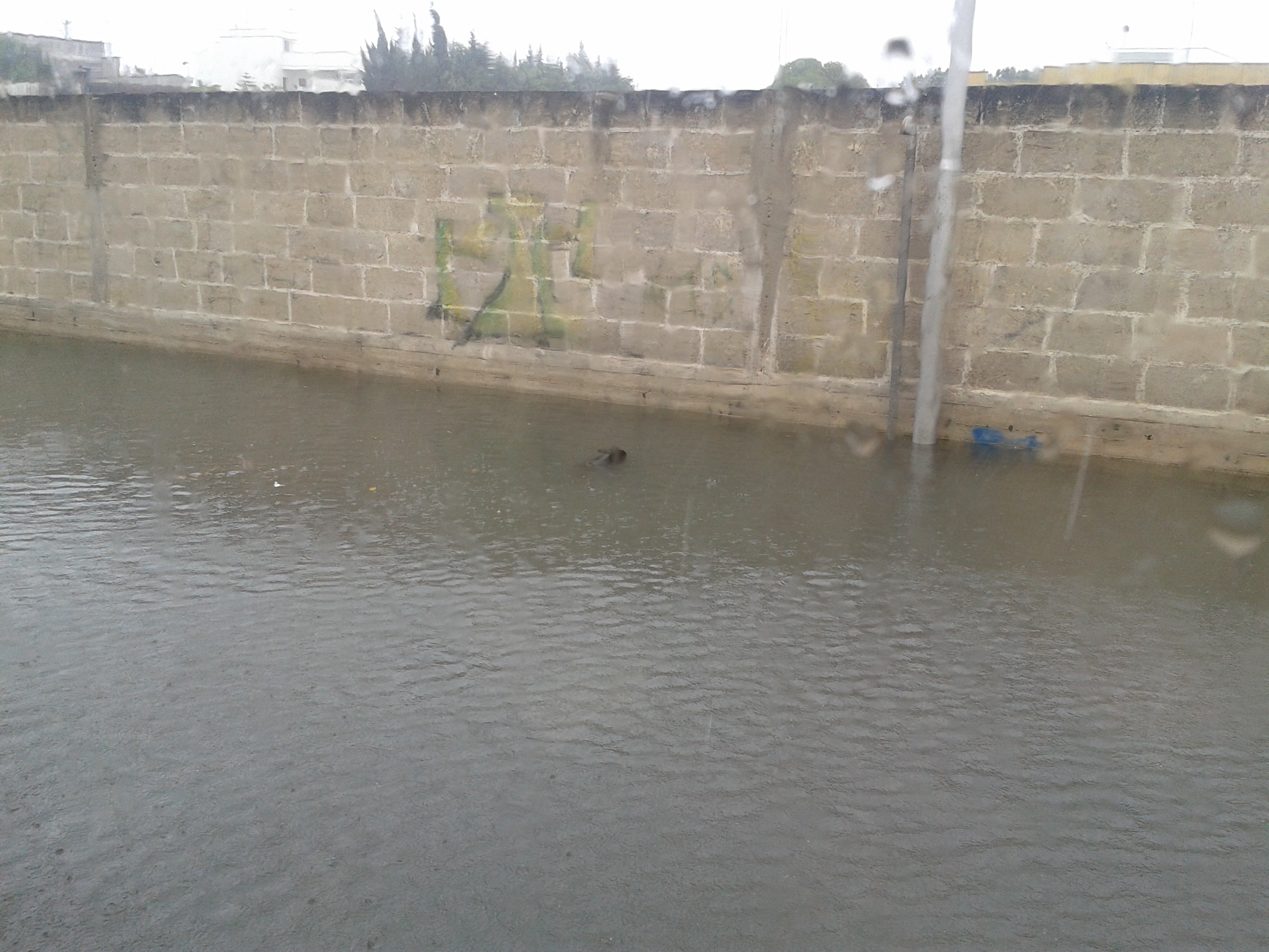 via Ferraris Carmiano 1