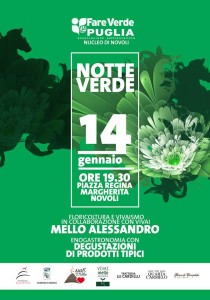notte verde