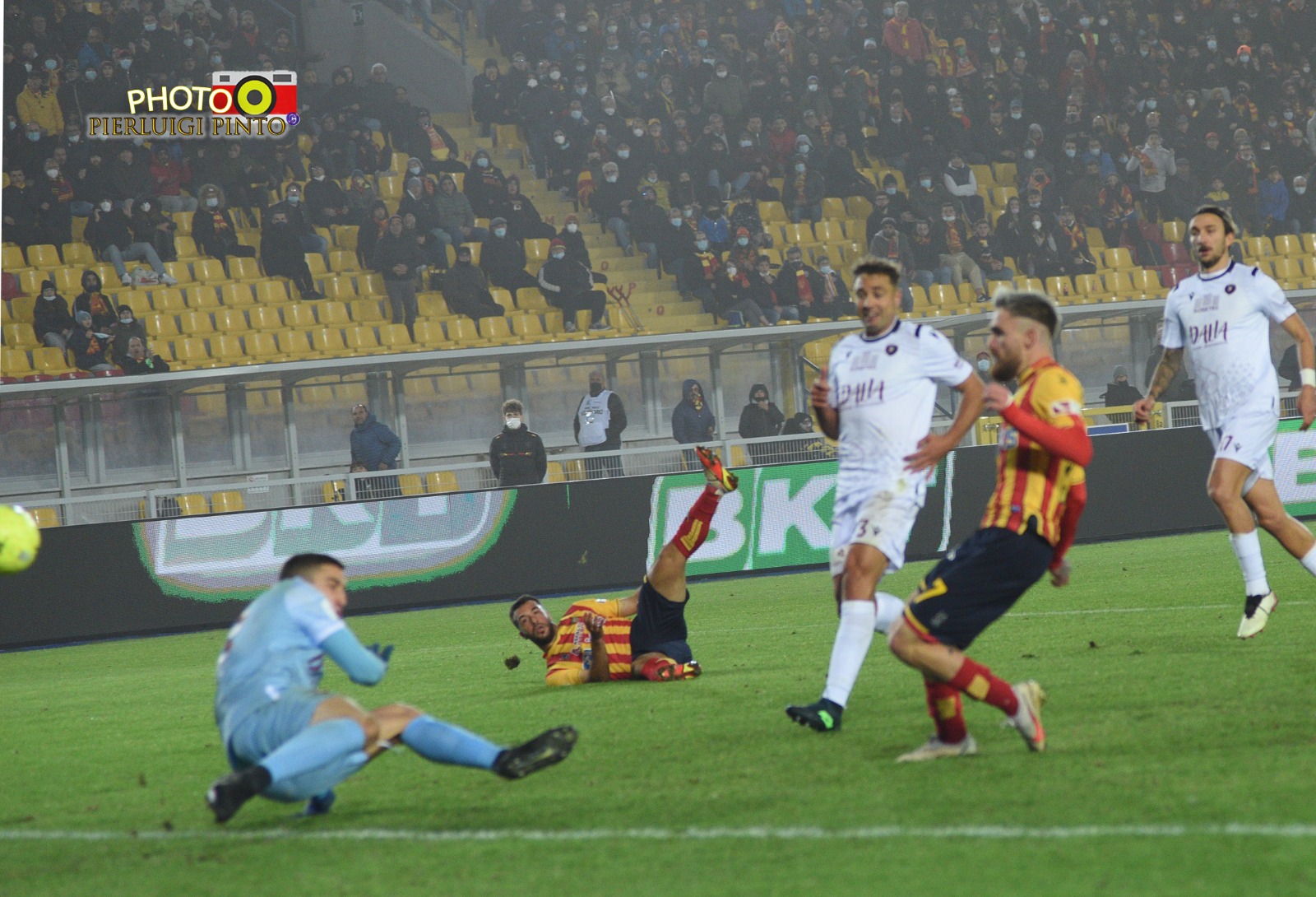 Majer (foto P.Pinto)