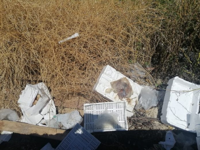 rifiuti-prodotti-ittici-via-tenente-alberti_24giugno2020