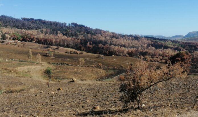 Screenshot_20220921_205711