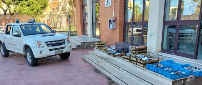 WhatsApp Image 2022-10-20 at 17.31.11