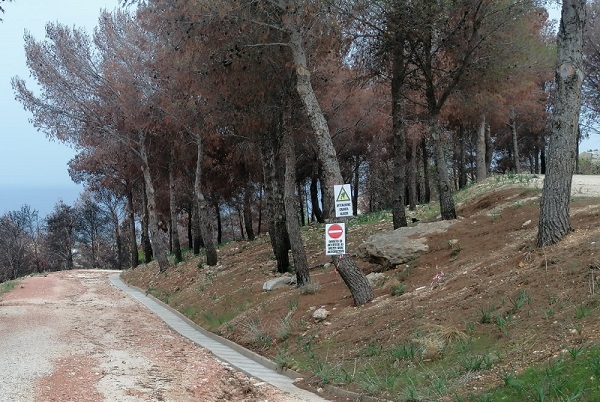 martogna-tabelle-dopo-incendio