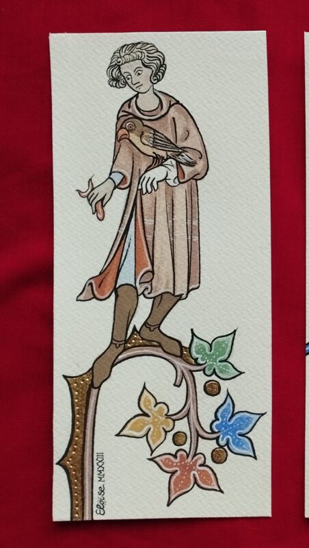 SCC 135