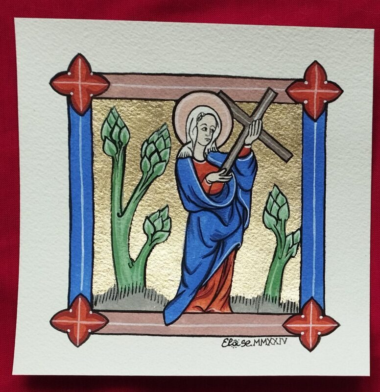 CC 101 Santa Lucia
