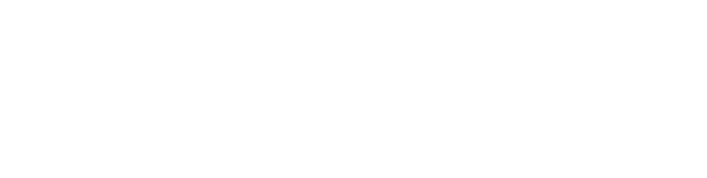 College Ferrara