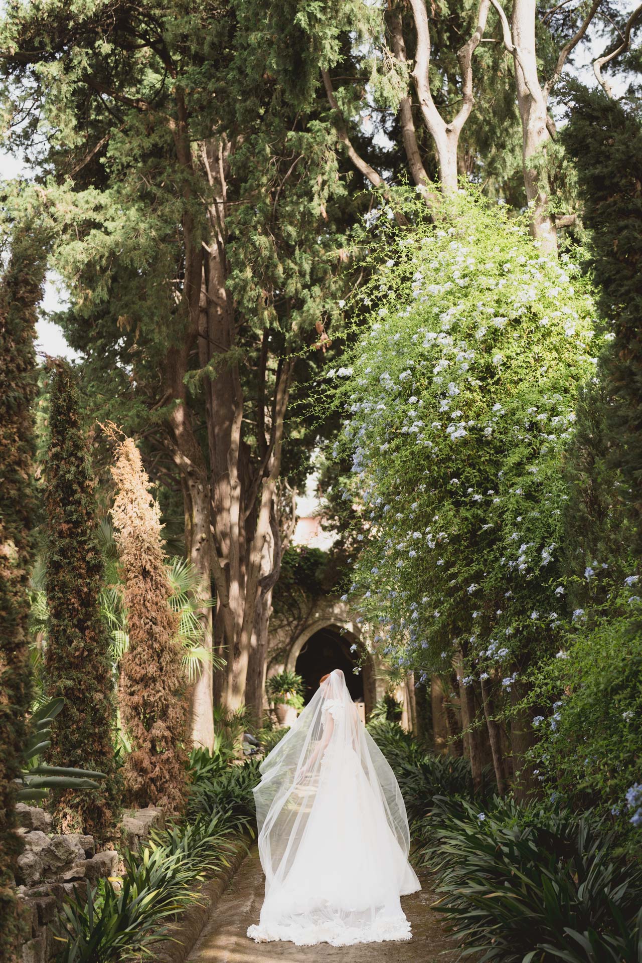 Capturing Contrasts: A Divine Comedy-Inspired Wedding :: 22
