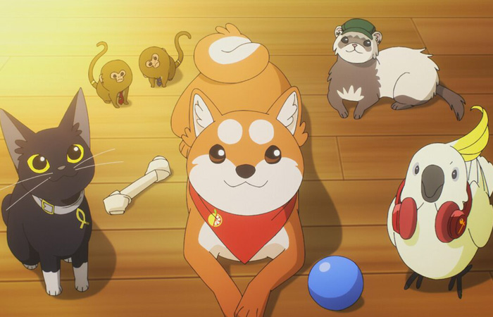 Toei Animation diffonde in Rete il primo trailer del progetto Animal Theratopia