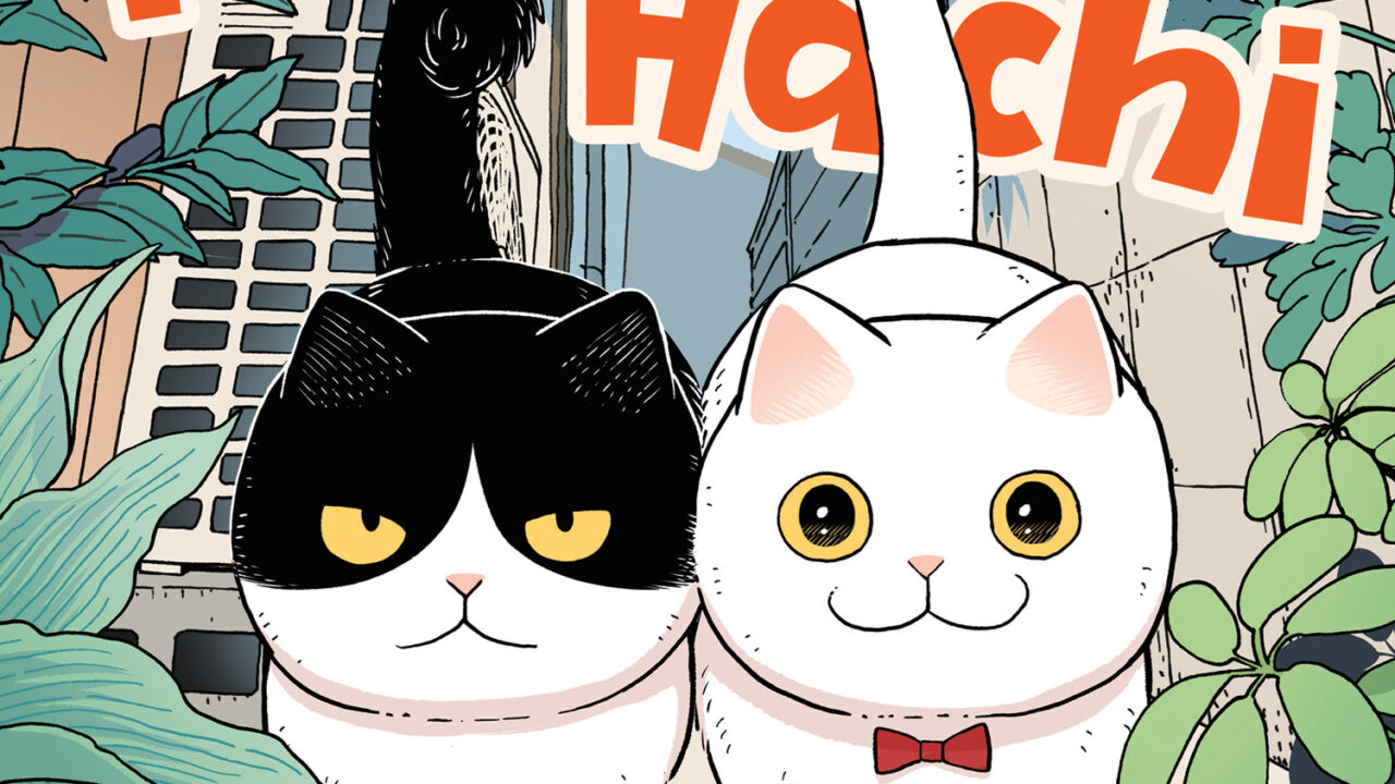 Cat Companions Maruru and Hachi torna dalla pausa