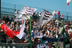 imag-blog