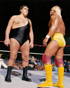 Hogan vs Andre face to face