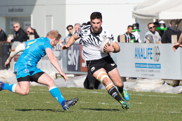 zebre rugby
