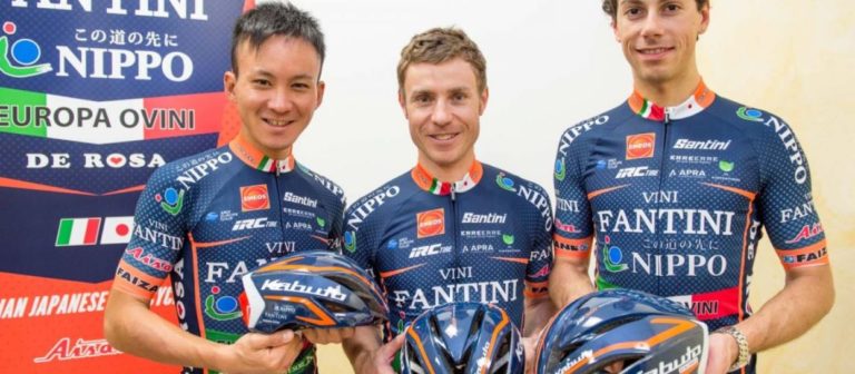 NIPPO Vini Fantini Europa Ovini caschi