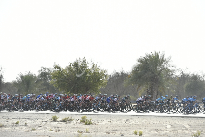 Abu Dhabi Tour