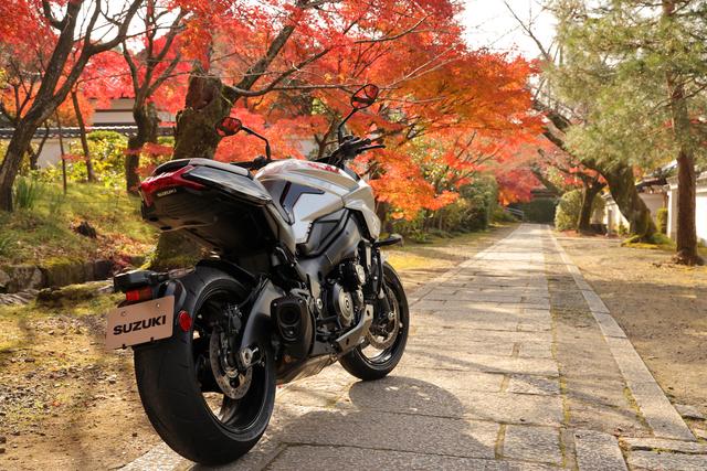 Suzuki Katana 2019