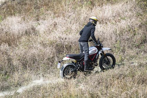 ducati scrambler