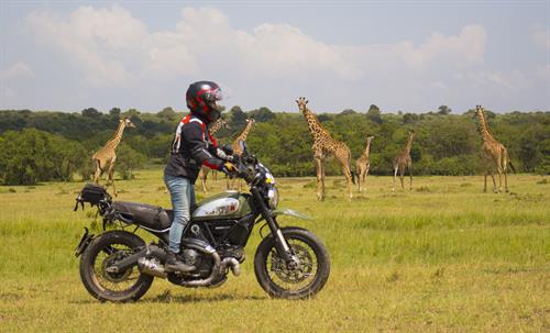 alicia sornosa ducati scrambler africa