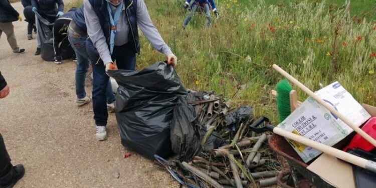 Pulizia dell'agro a Casamassima
