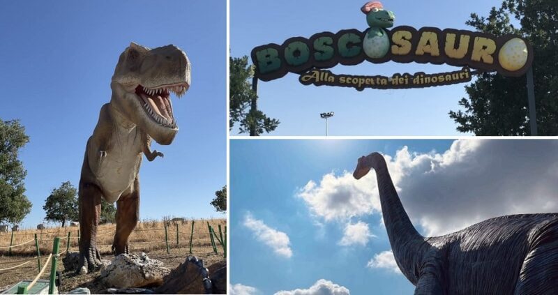 Altamura, riecco il Boscosauro: partita la stagione estiva del parco. Attrazioni per grandi e piccoli visitatori