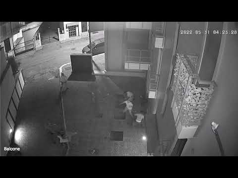 Notte di follia a Santeramo, violenta rissa con pugni e bastonate – IL VIDEO shock