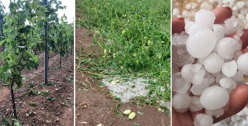 Tempeste d’acqua e vento, trombe d’aria e grandinate: in Puglia 13 ‘eventi estremi’ in 24 ore