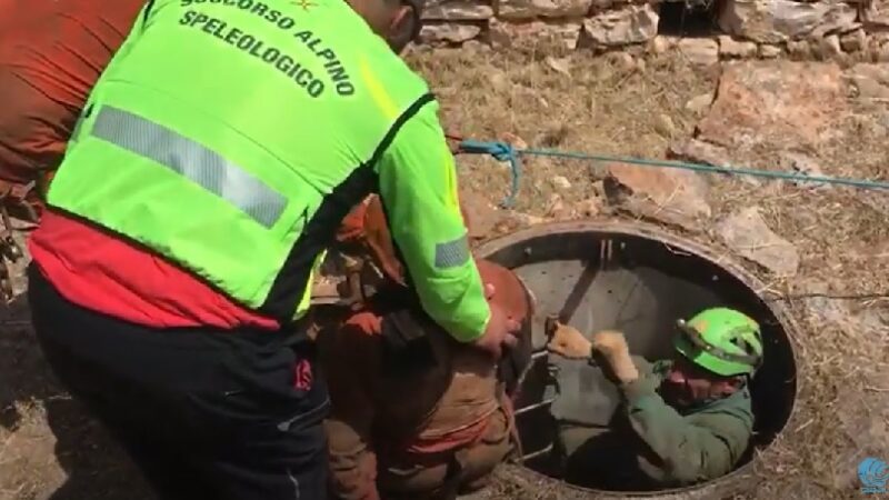 Monopoli, salvata la speleologa intrappolata nella grotta: finito incubo durato 24 ore – VIDEO