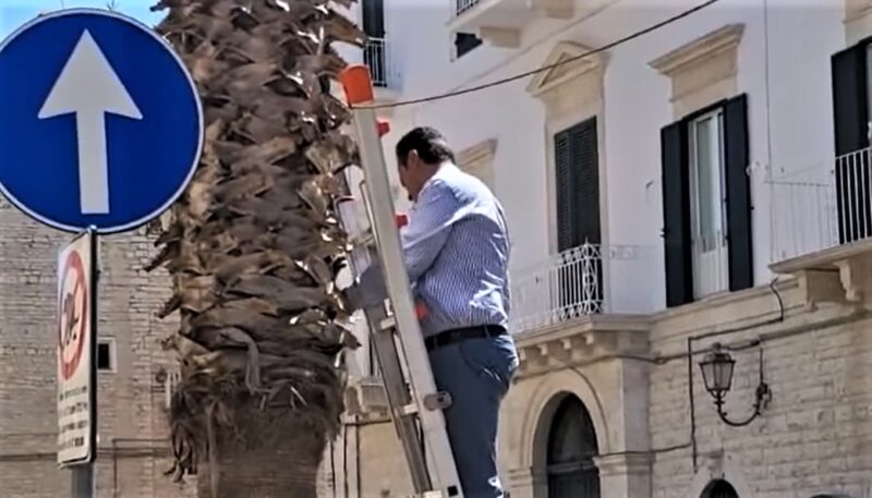 Consigliere Comunaleterlizzi