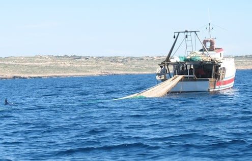 Teschio umano finisce nella rete dei pescatori: è mistero a Molfetta
