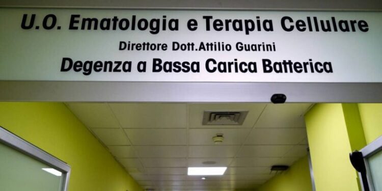 Nuova Area Trapianto Midollo Gpii2