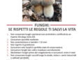 50x70 Funghi