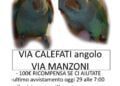 Img 20221109 Wa0018