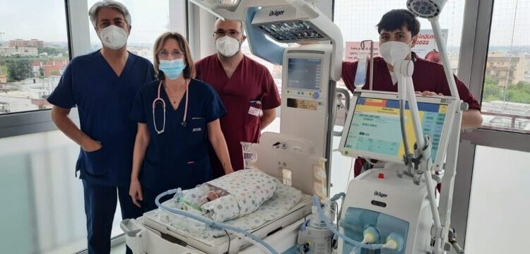 Utin Di Venere Incubatrice E Ventilatore Carrellato (5)