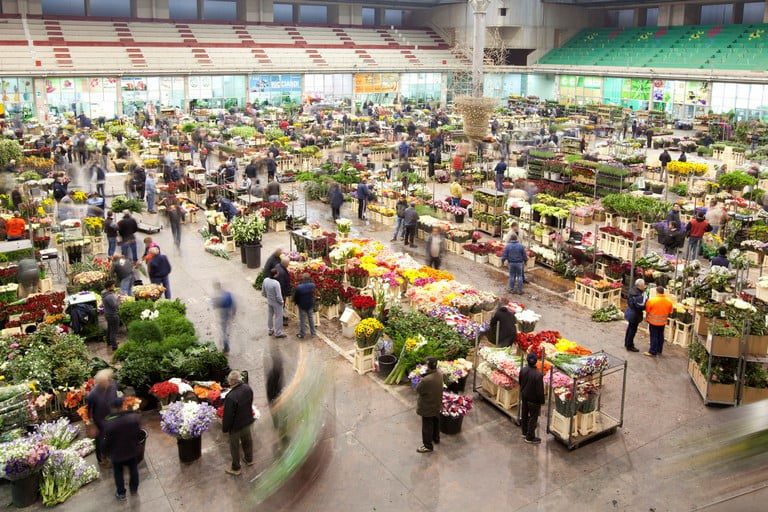 Mercato Dei Fiori Terlizzi Panoramica