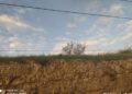 Treno In Campagna