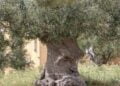 Img 20230113 Wa0007