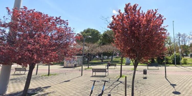 Alberi
