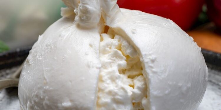 Burrata