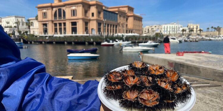 Ricci Di Mare Margherita Molo San Nicola Bari