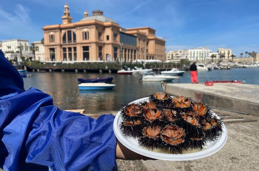 Ricci Di Mare Margherita Molo San Nicola Bari