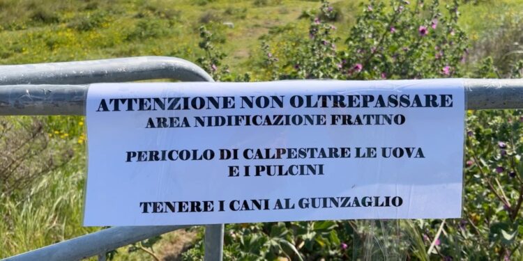 02 05 23 Ordinanza Tutela Fratino 1