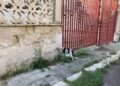 Img 0777