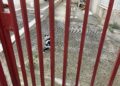 Img 0778