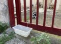 Img 0779