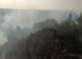 Protezione Civile Incendio A Palagianello (1)