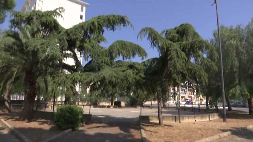 Bari, Il Verde Al Centro: Dal Nuovo Giardino Del San Paolo Alla Svolta ‘green’ Del Parcheggio Di Via Peucetia – Video