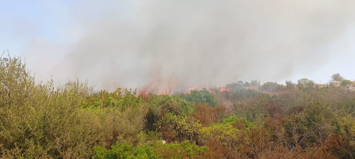 Incendio Martina Franca (1)
