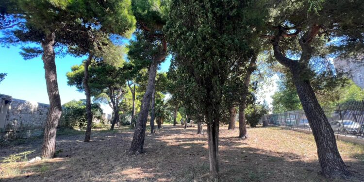 11 09 23 Questa Mattina Sopralluogo Tecnico Nell'area Del Parco Del Castello 3