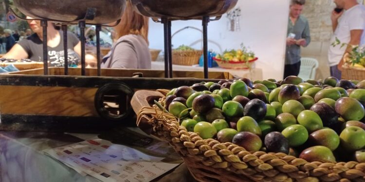 sagra olive