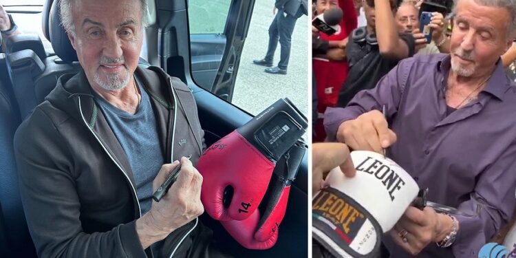 Stallone Ev